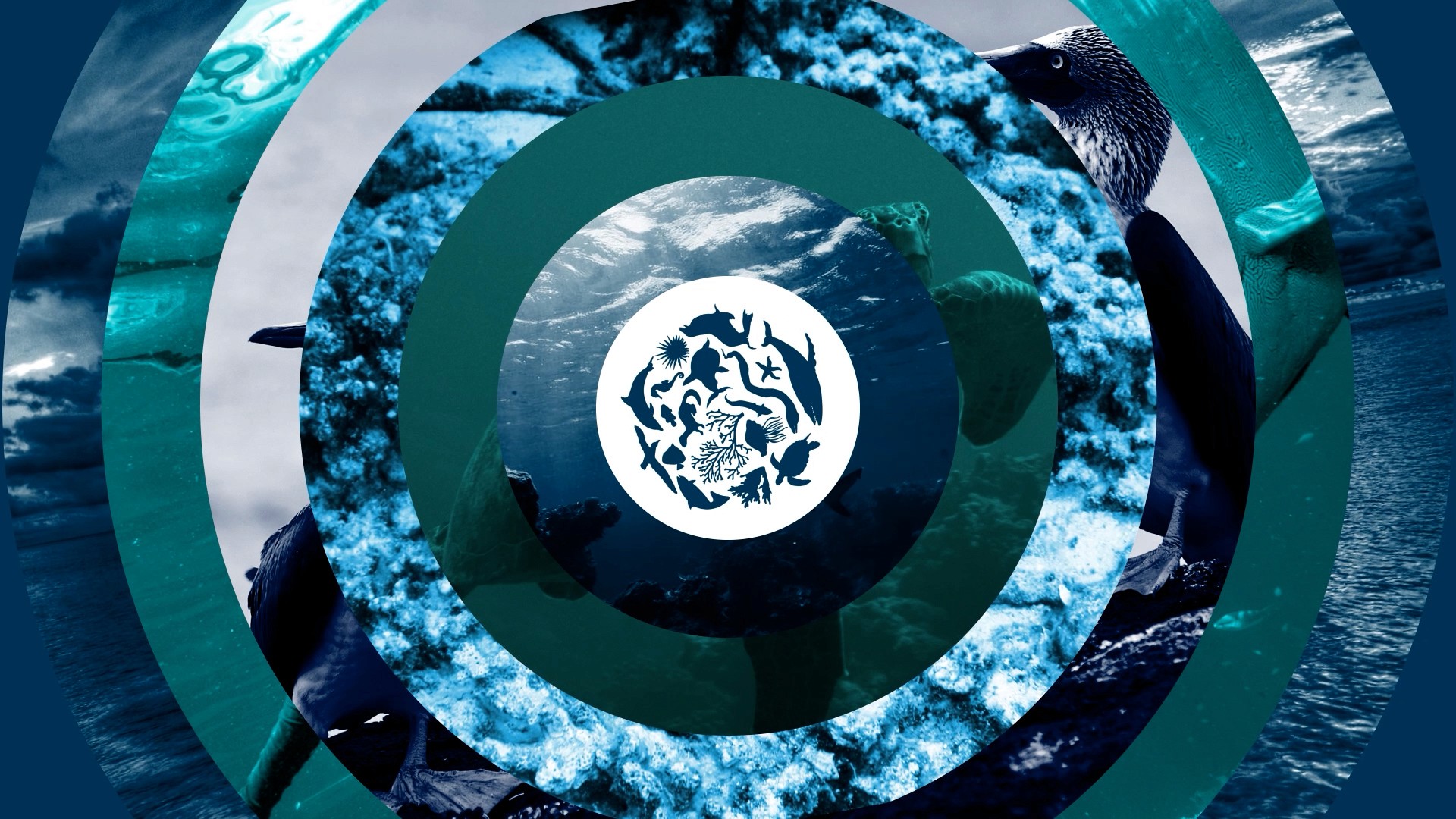 The image featured in the carousel #1