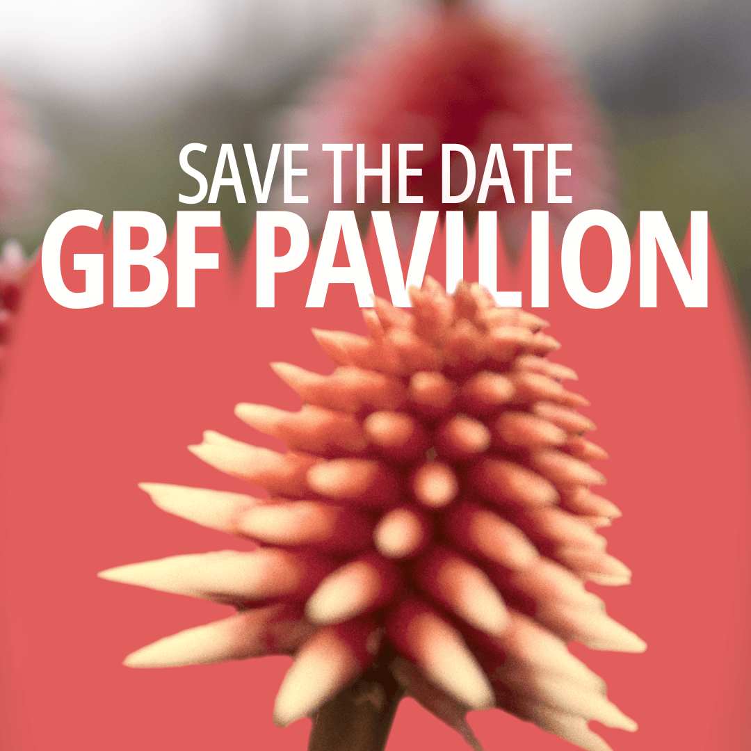 Project Gallery Image for 50% width of the screen #1